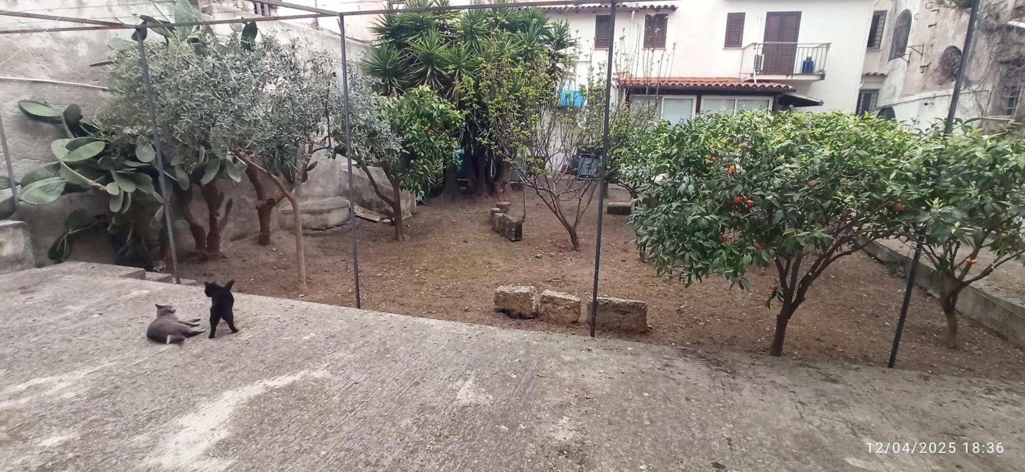 Jujube Hortus 4 Apartamento *